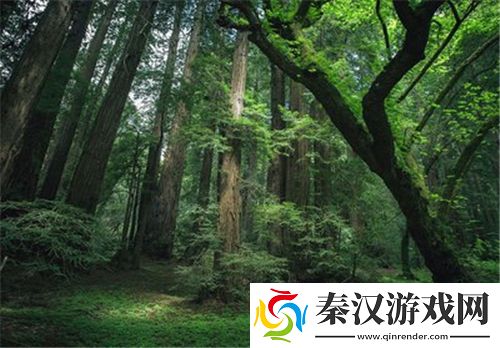 吃了春晚药后有多疯狂