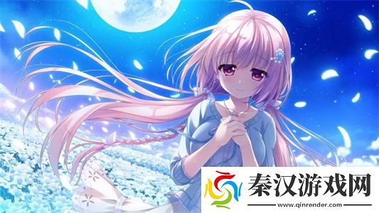 宏翔小蓝视频gy2023的评价